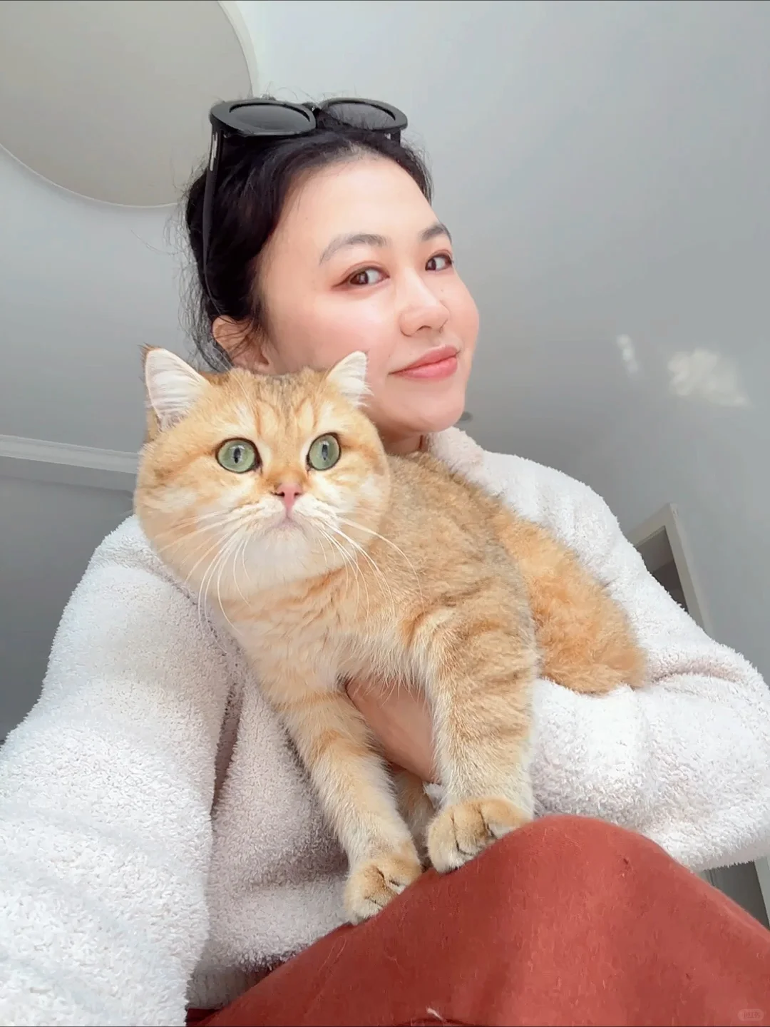 猫瘾犯了，没跑步，腿被千金小猫儿压住了😆