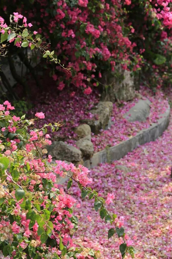 上联：落花成冢终一世；
下联：？？？
