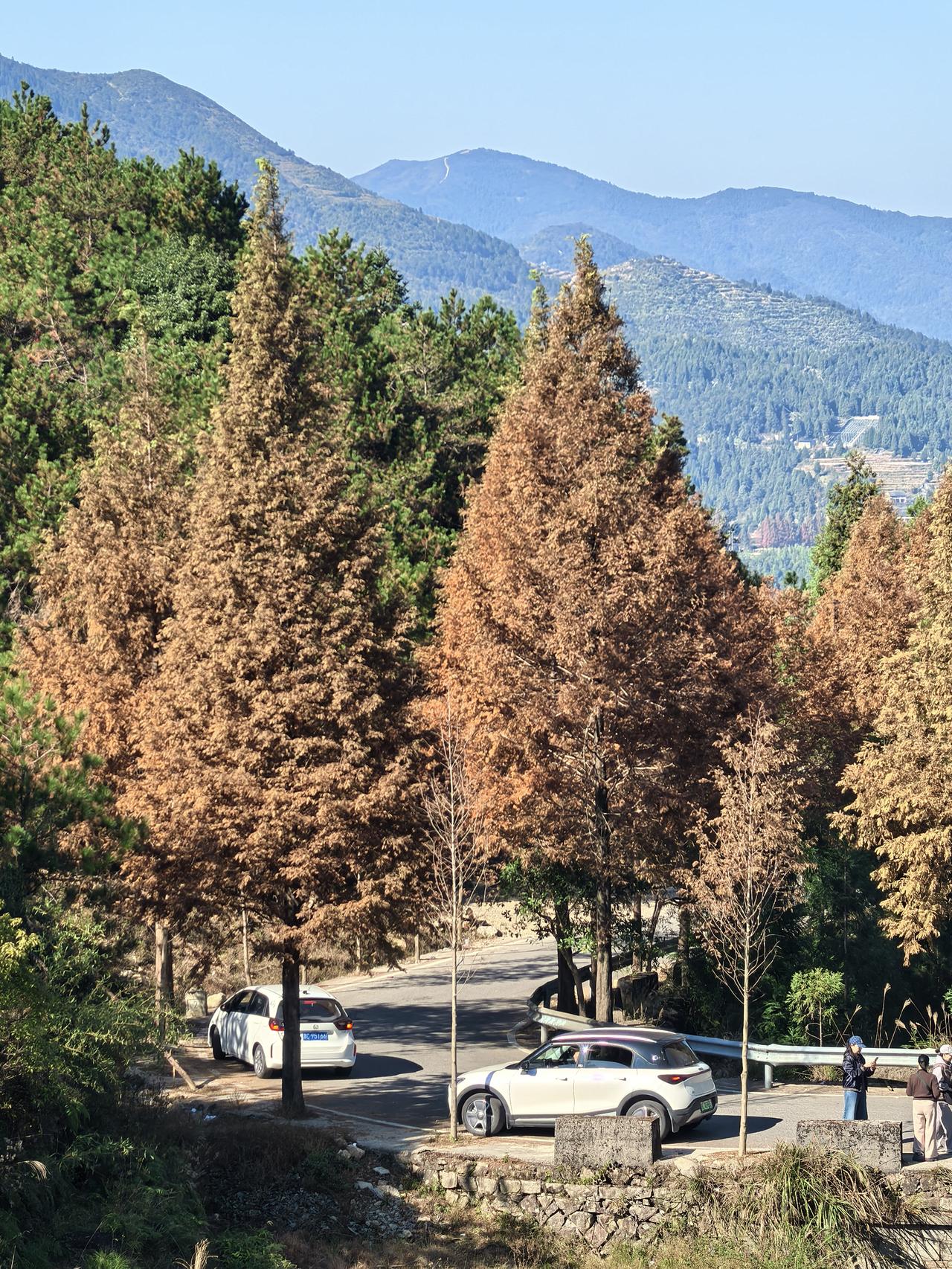 走两步，随手拍