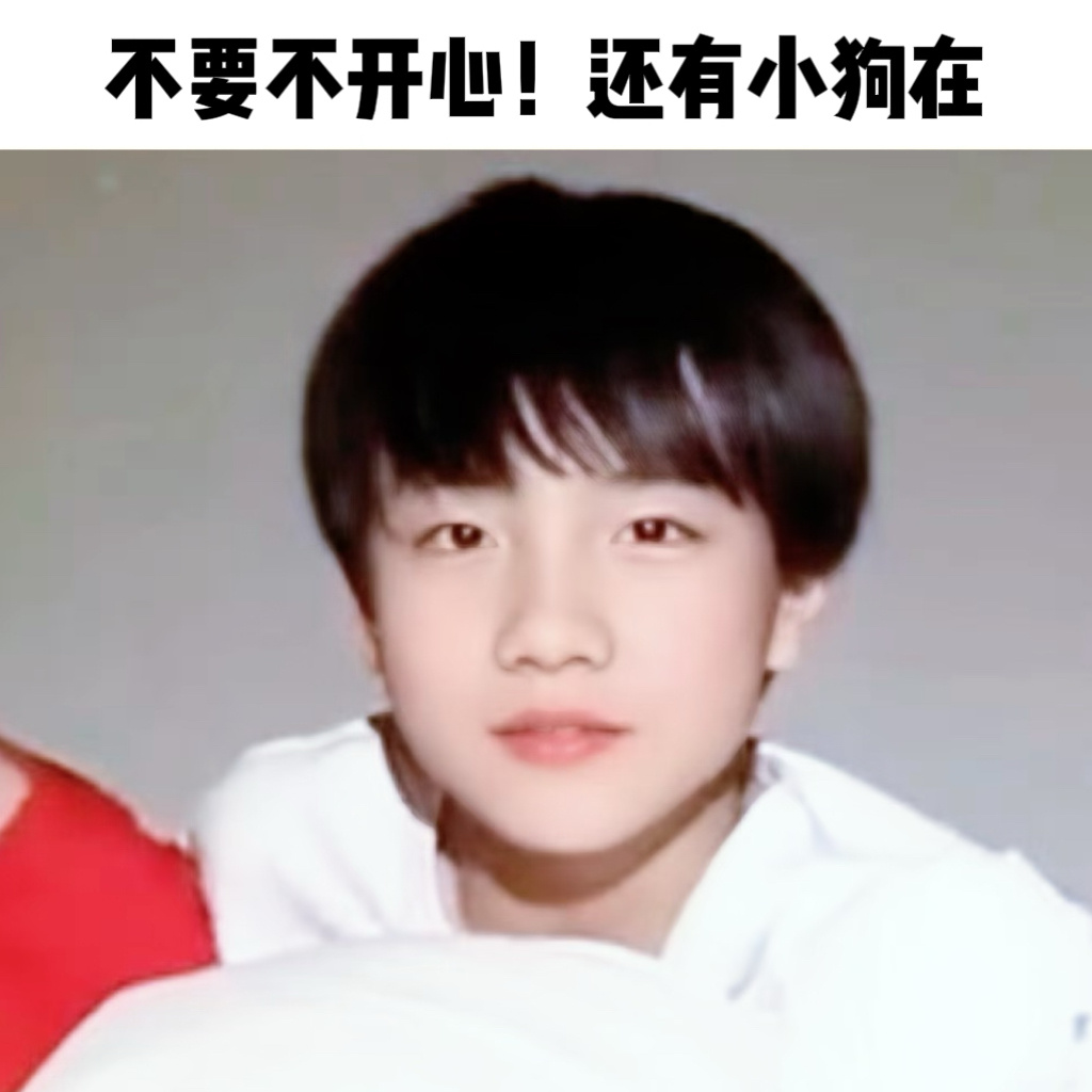 【4663】人，不要不开心！还有小狗在🥺 苏新皓