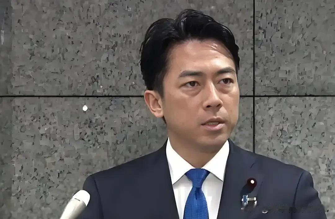 7月17日，日本防卫大臣小泉进次郎在一档网络节目中公然发声，声称日本必须带着危机