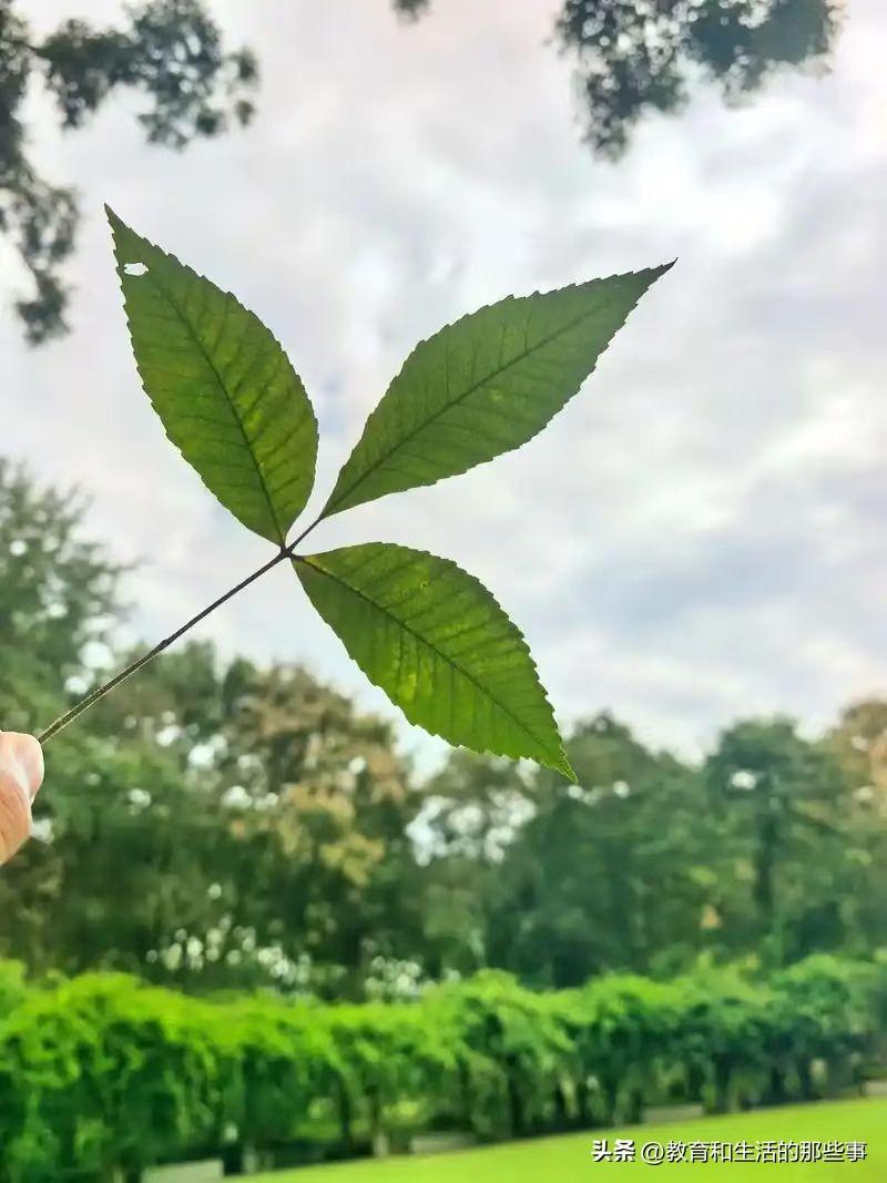 今天去面试，我爸让我放一百个心，
因为他已经给我找好了关系。
我内心窃喜，
美滋