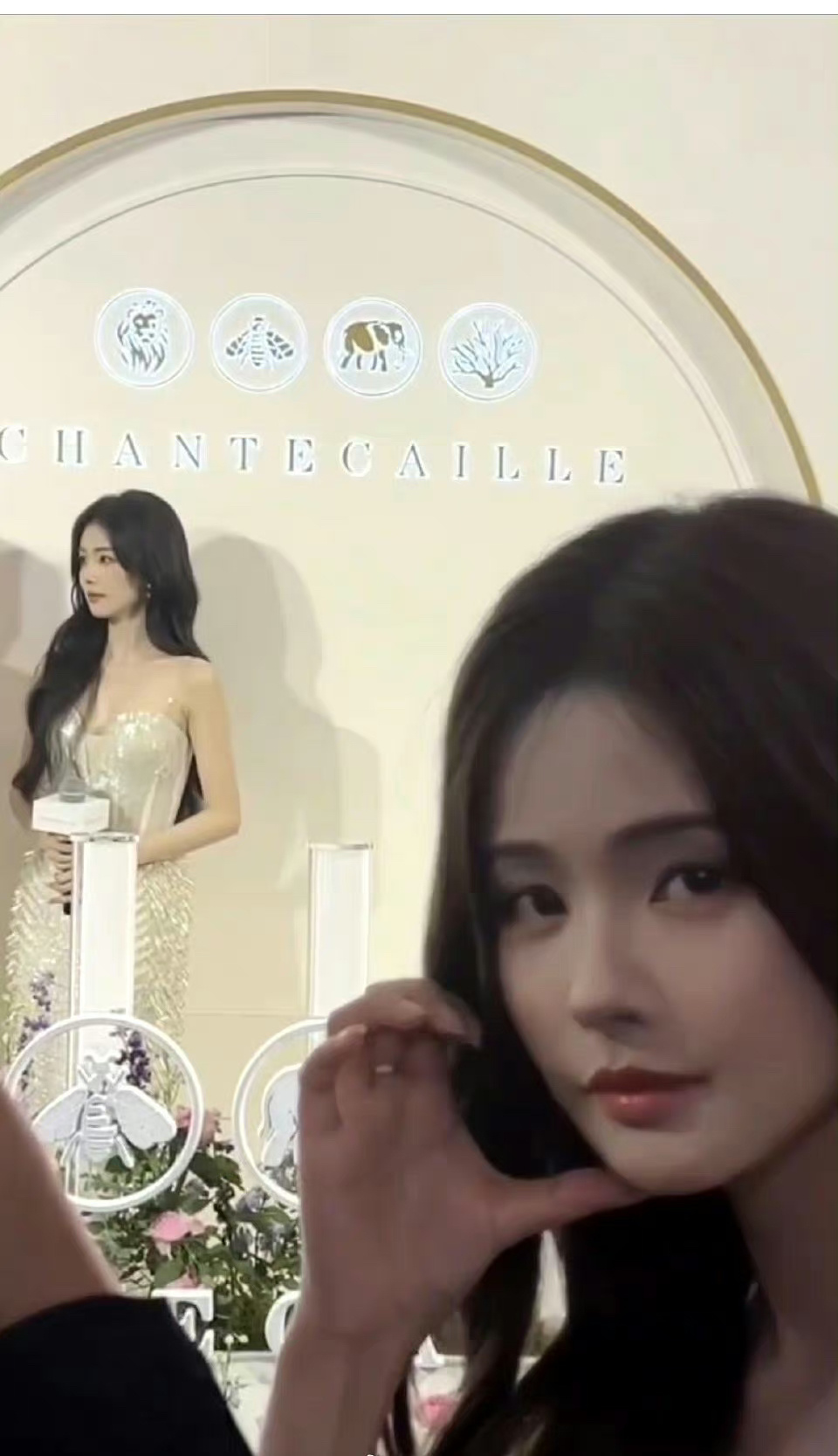 这个是仿妆➕P图吧[吃惊]白鹿本人看到都要愣一下的程度吧 [笑cry]粉丝也是很