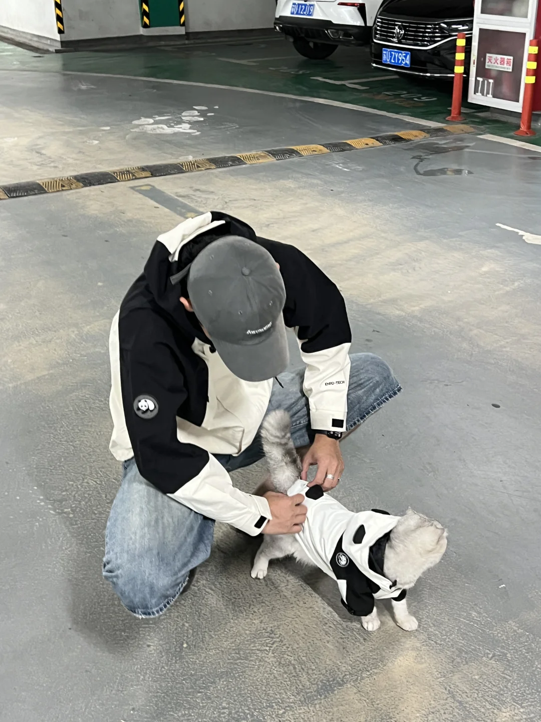 🐾萌宠新风尚，熊猫冲锋衣带宝贝遨游自然！