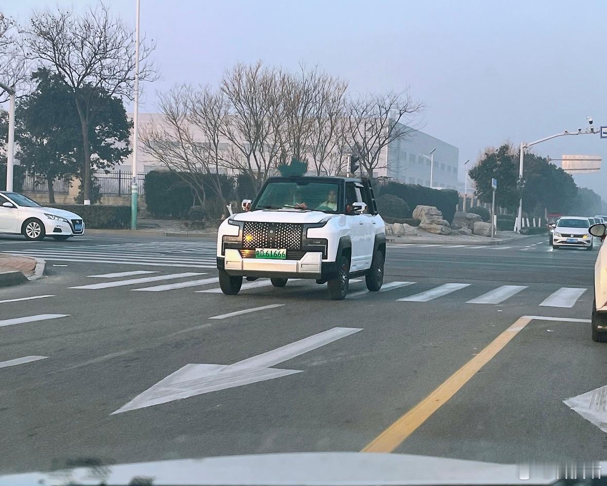 老头乐随意在路上开车，非常影响正常交通，一般来说，正常开车的司机都讨厌老头乐上路