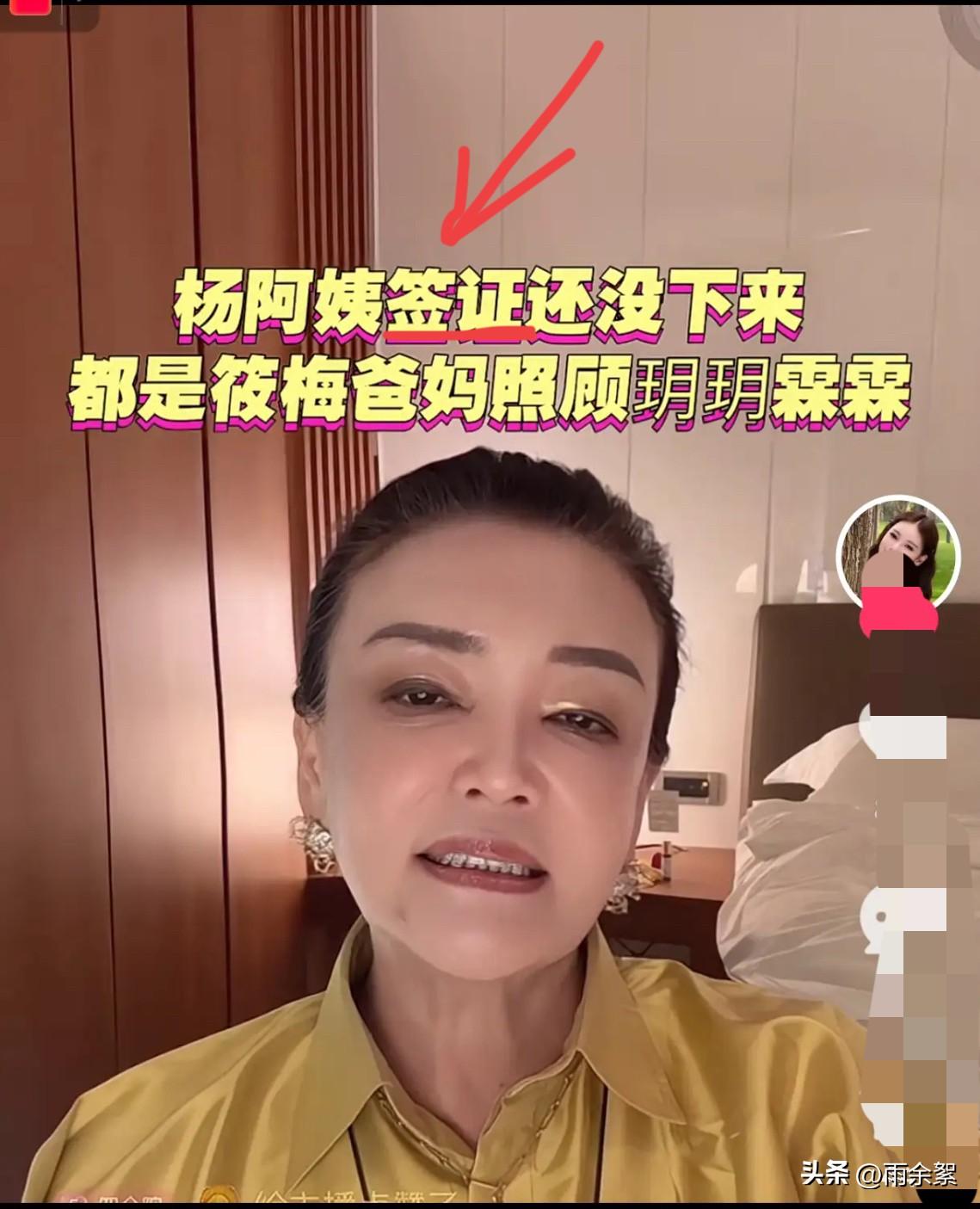 张兰又说错话了？
她说杨阿姨之所以还待在老家，
是因为签证还没办下来。

这个说