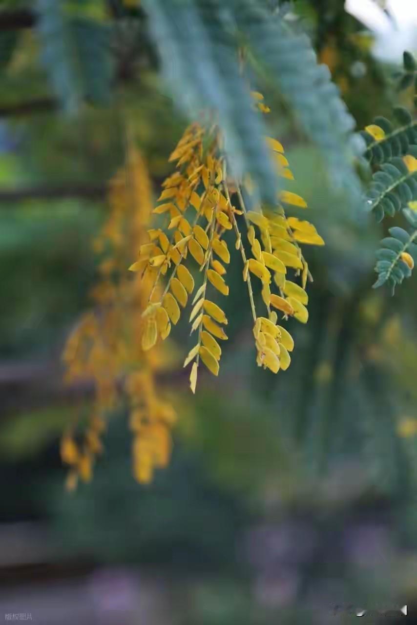 凡事莫要太过用力，接纳住自己的福气就行了

真正属于你的东西其实一直都在，只是欠