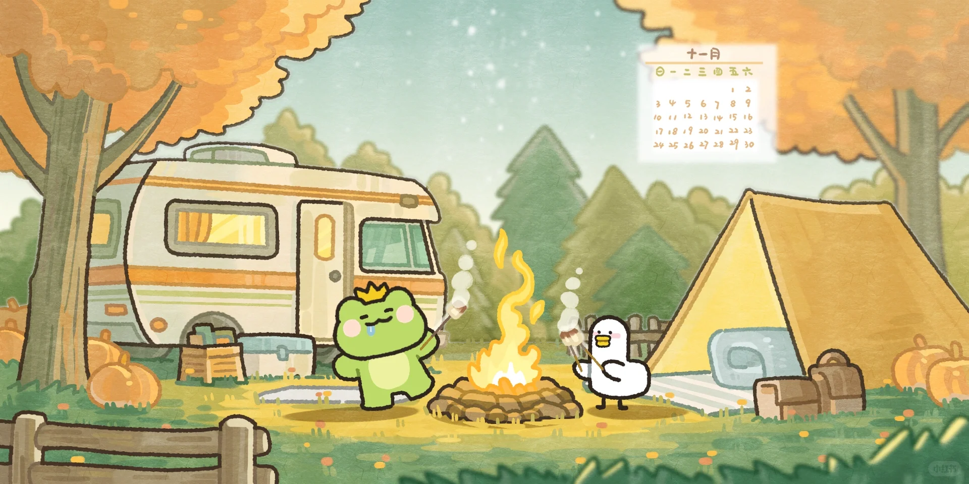 十一月的波仔～