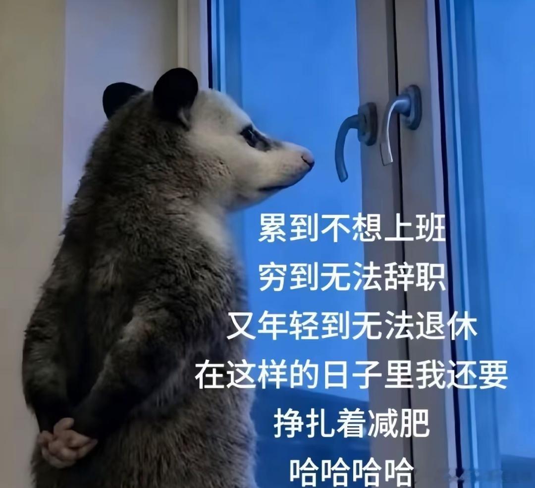 分享图片 