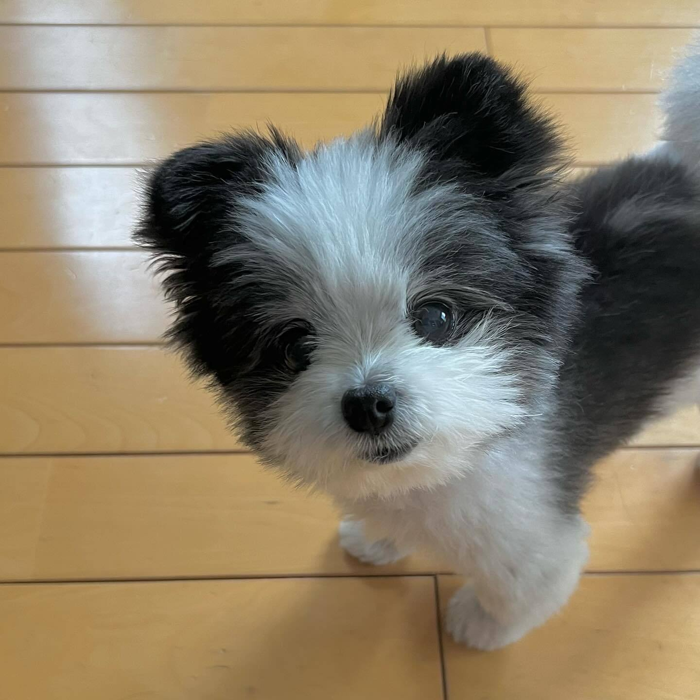 这以后就是我的家了吗，我真的可以一直住在这里吗？ 