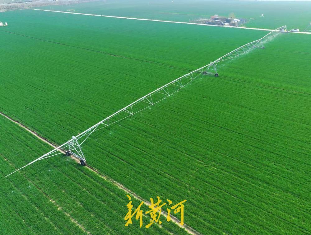 麦田里的“黑科技”，立体式春灌助力小麦春耕春管！眼下，正是小麦春管的关键时期。4