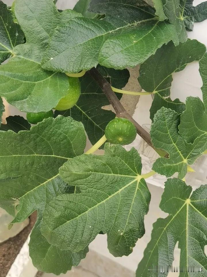 钱难挣屎难吃！
4个小时挣了120块钱。
看似很容易，其实是
受苦受累又受气换来
