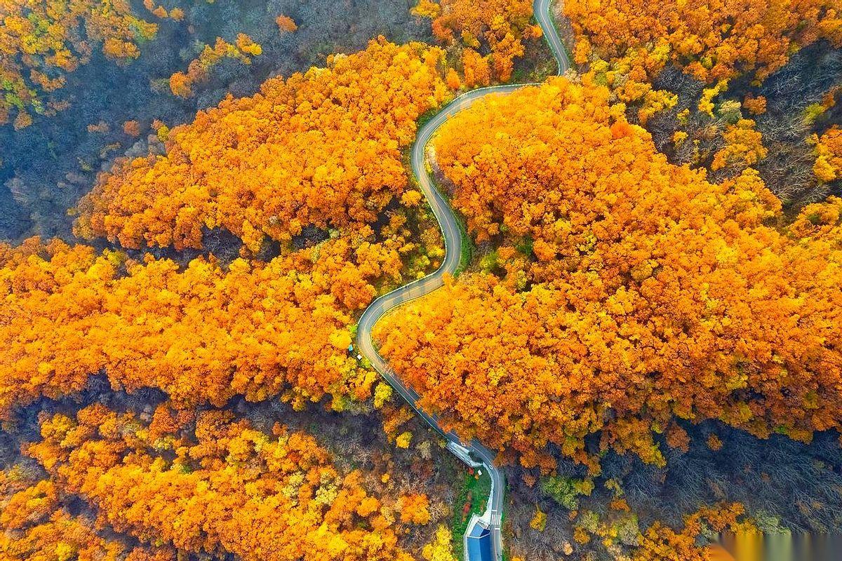 我算是看明白了。
人和人的差距，根本不是比谁更能熬夜，谁的日程表更满。
而是看你