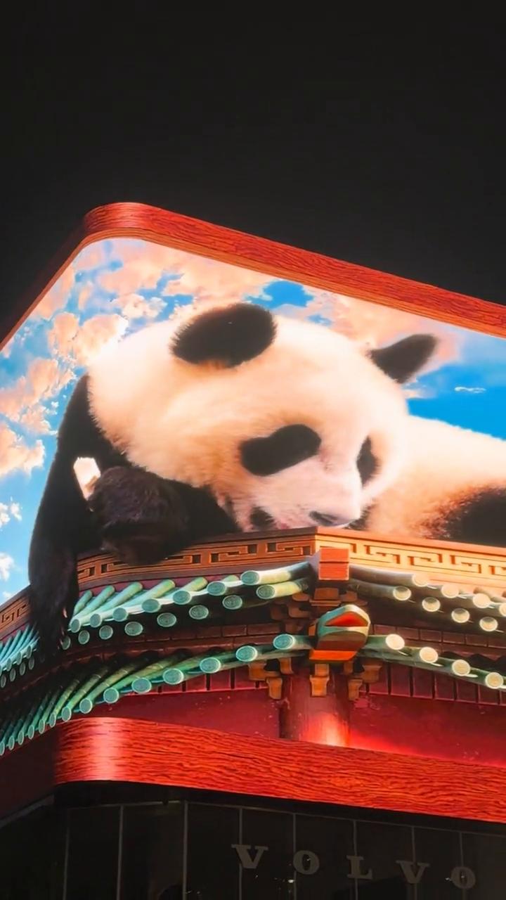 快看，成都春熙路这个大熊猫就在这里，太古里门口。现在已经晚上十点半了，这个熊猫真