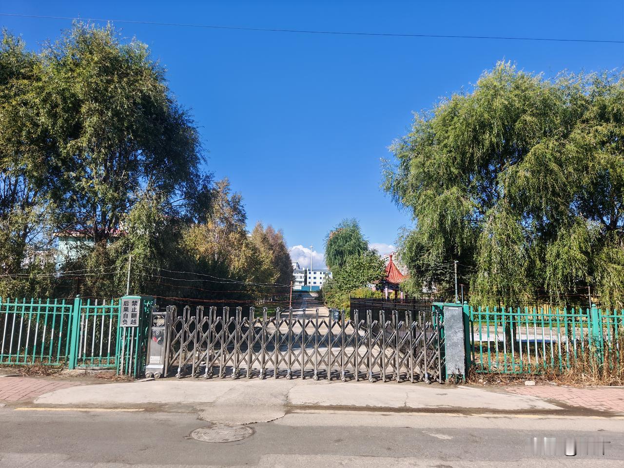 黑龙江玉米今年价格如何？
黑龙江虎林地区，玉米还没有大面积收获。
但在九月二十号