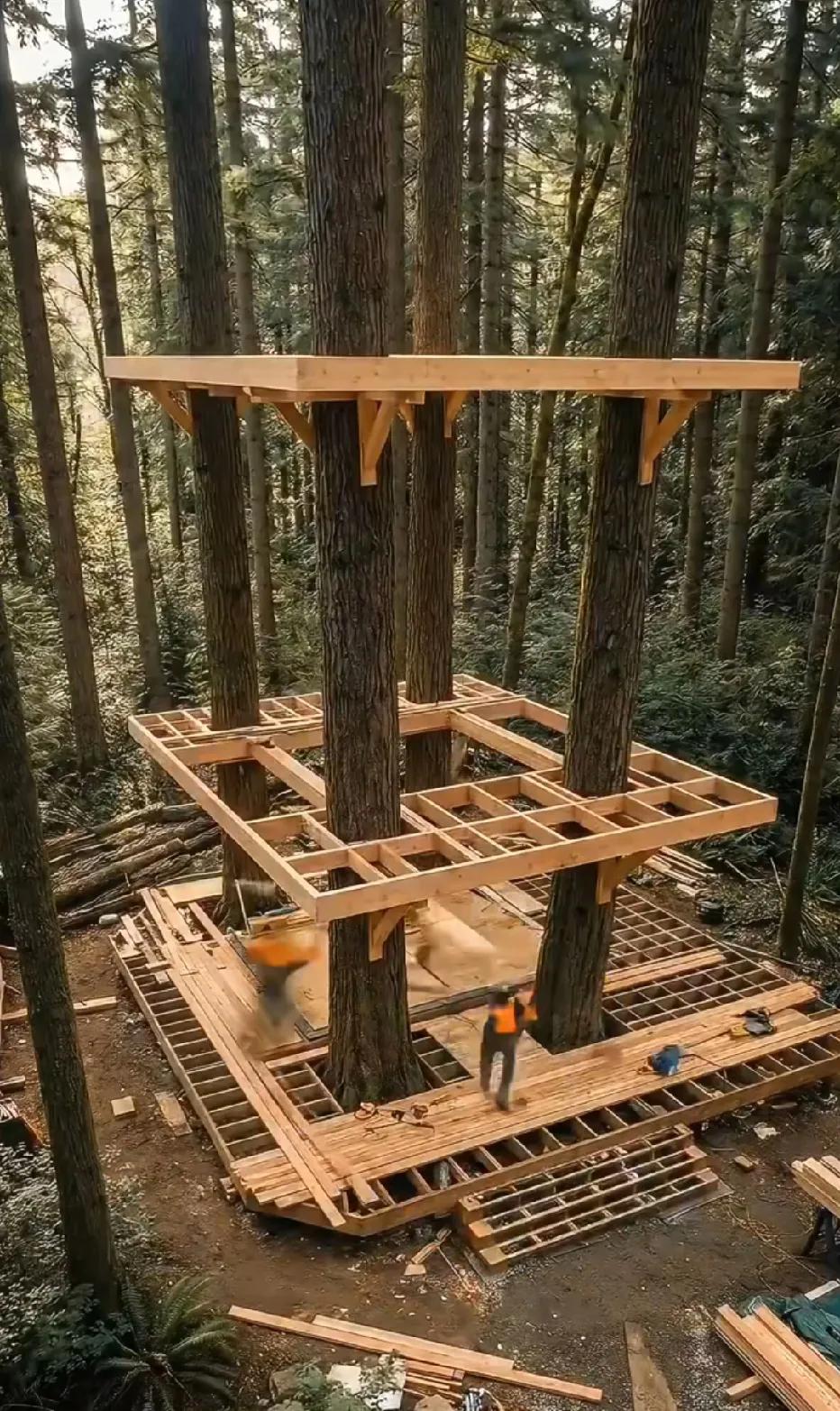 如果隐居大山里，周边没有野兽，只有一些小动物，这样的房子，有网，假如让你住满2年