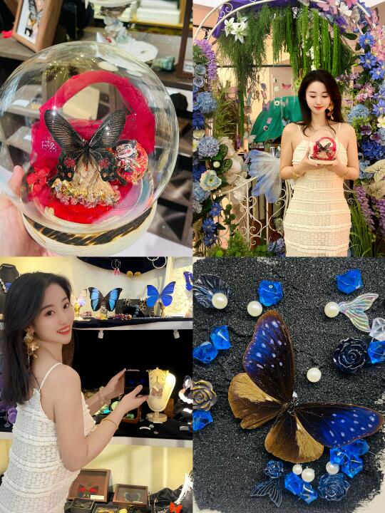 💰29.9❗在沈阳自己diy蝴蝶标本啦🦋