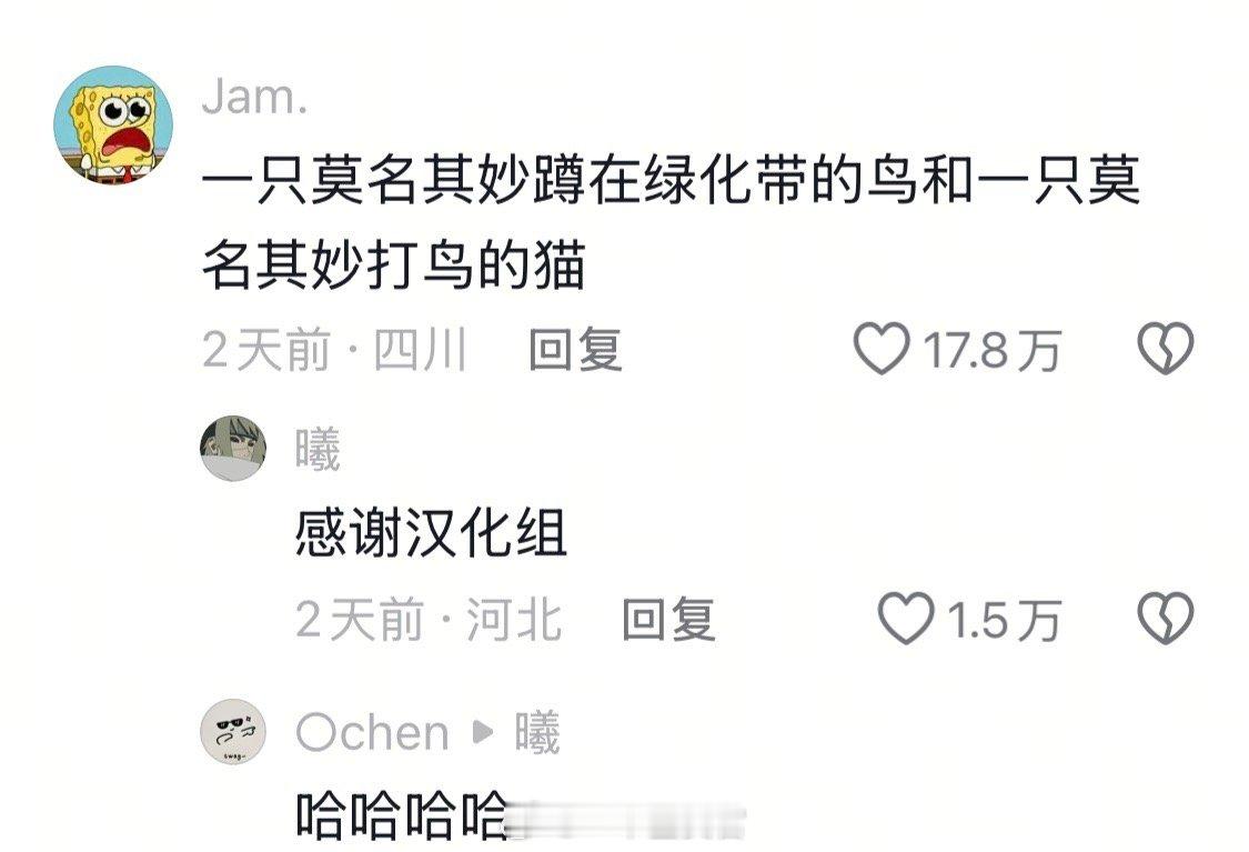 莫名其妙就被暴揍一顿的喜鹊，睡 觉 招 惹 谁 了
