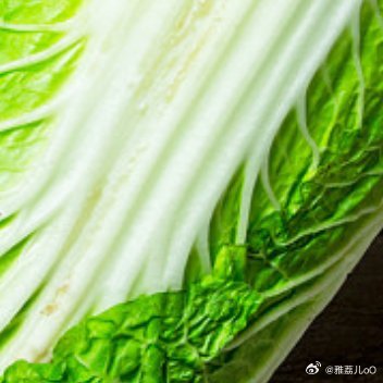 清甜脆嫩大白菜，冬日餐桌常客。汁水充盈无涩味，清炒炖锅都入味，平价鲜蔬藏着家常暖