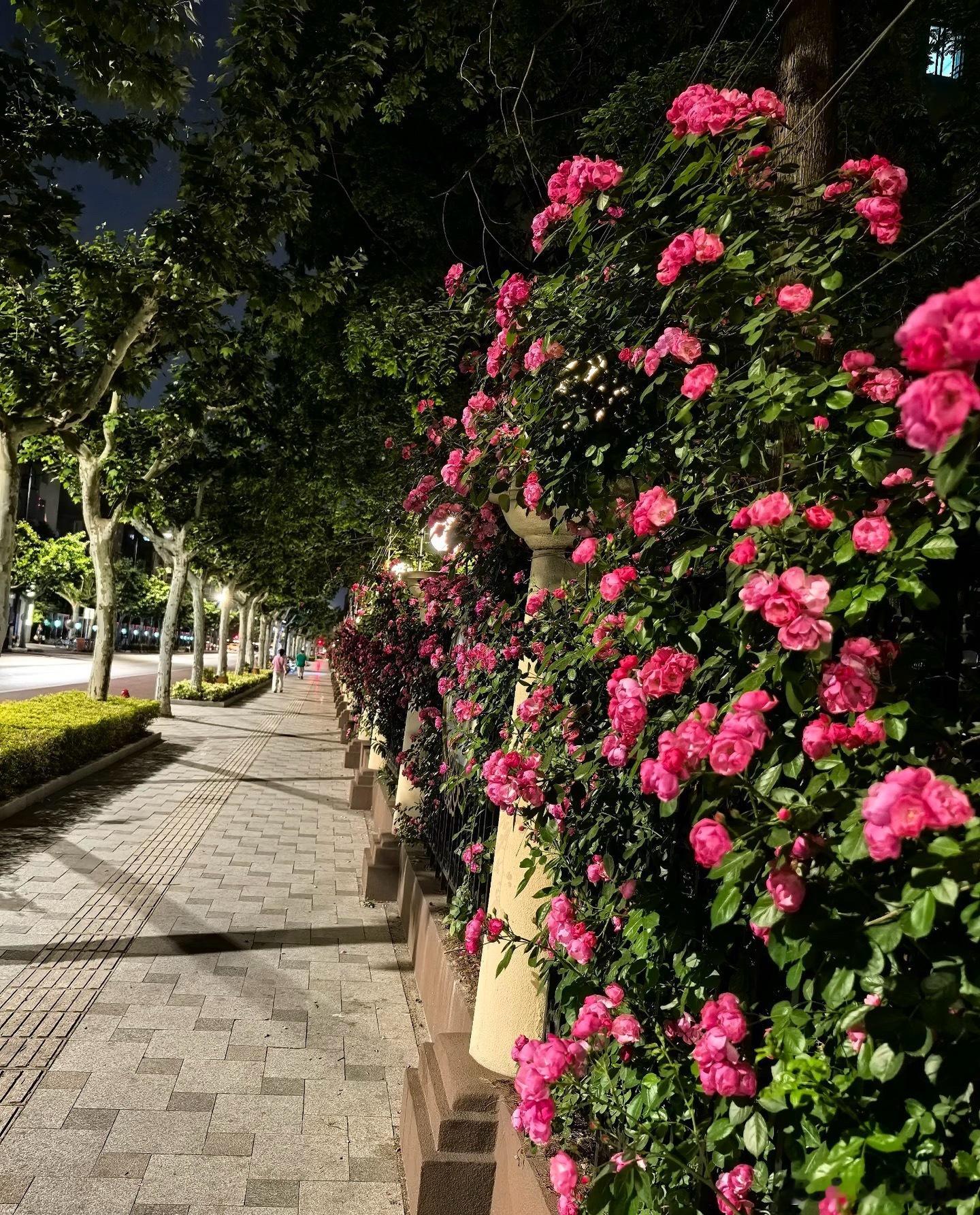 CPU：推理时代的中国AI核心资产全球CPU供需关系持续趋紧，CPU涨价趋势有望