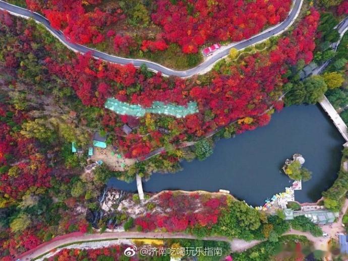 这里就是济南醉美的地方！南山一片红！