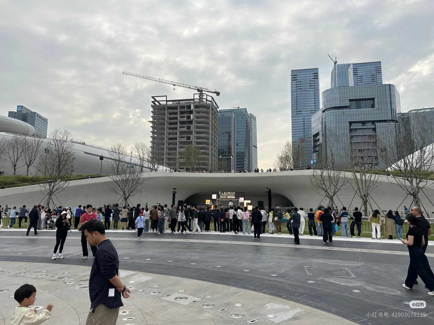 深圳，一座充满生命力的城市。 