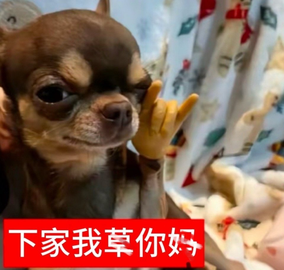 大概就是拿下双青龙一百想 犯罪现场唯一连续出演两季的女爱豆 出演综艺收视率开播即