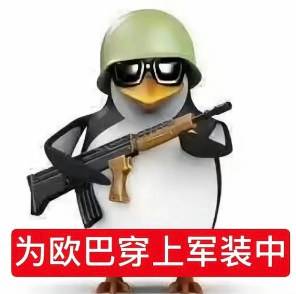 今天开始要当zgk了 