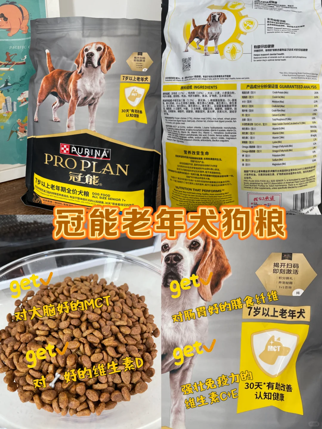 划重点！7岁+狗狗双十一真值得囤的就这些