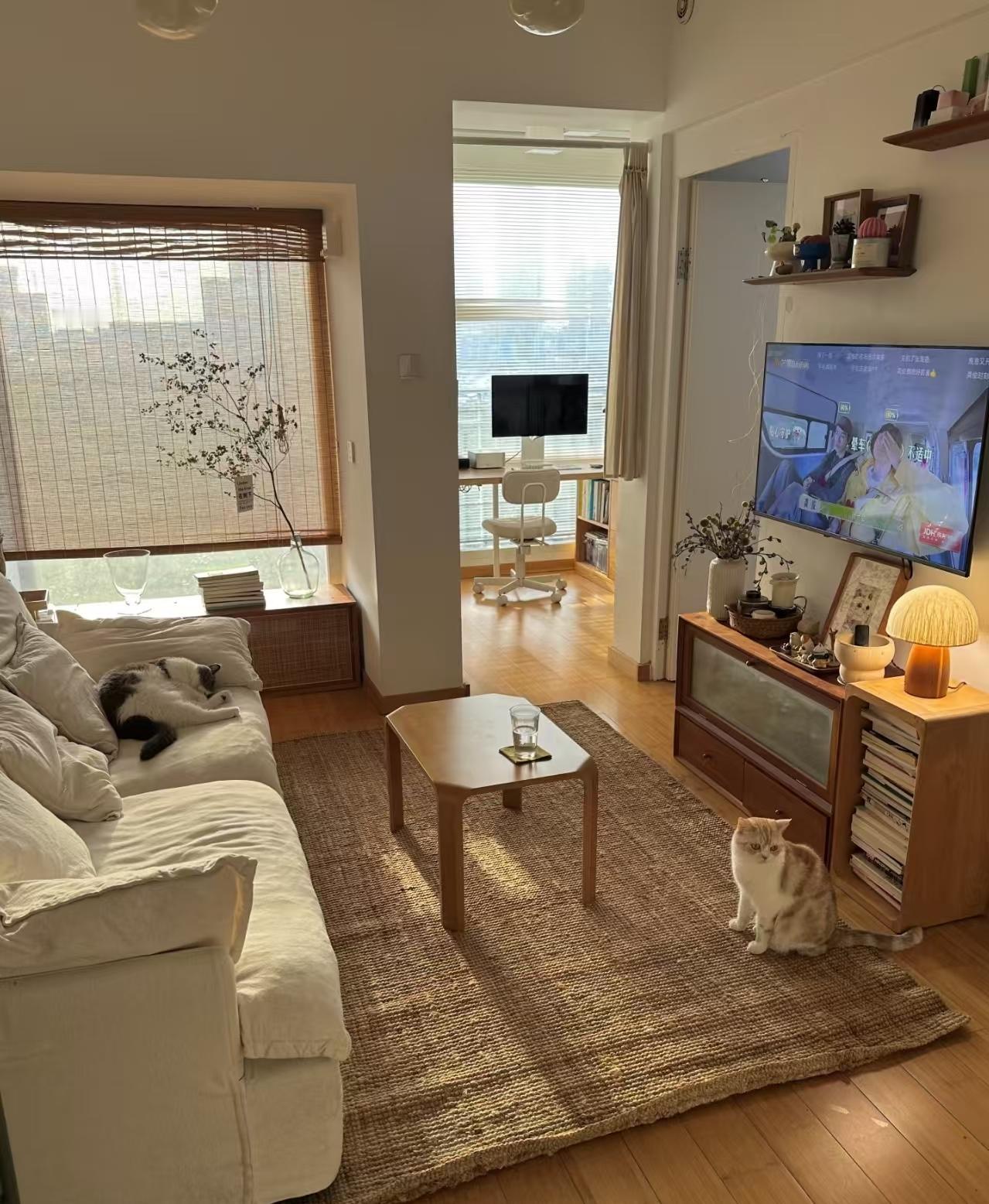 屋里所有的一切都只属于我。
目前觉得一个人真的挺好的！
至于老了的事，等老了再担