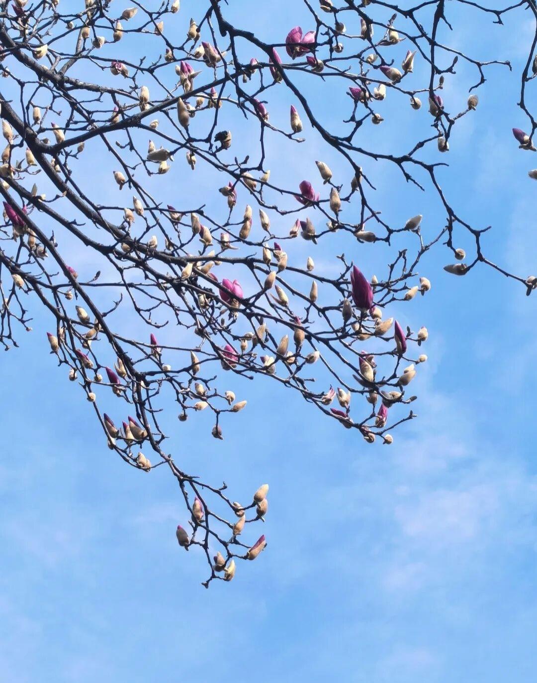 红尘里行走在烟火巷陌，步履所及皆有细碎的光芒，可于一盏清茶里听风，也可在半窗斜照