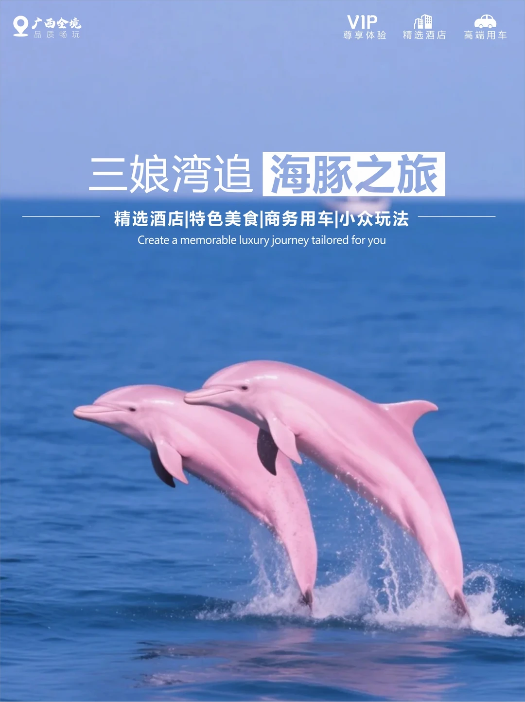 暑假来广西钦州追海豚，孩子开心到不想走！