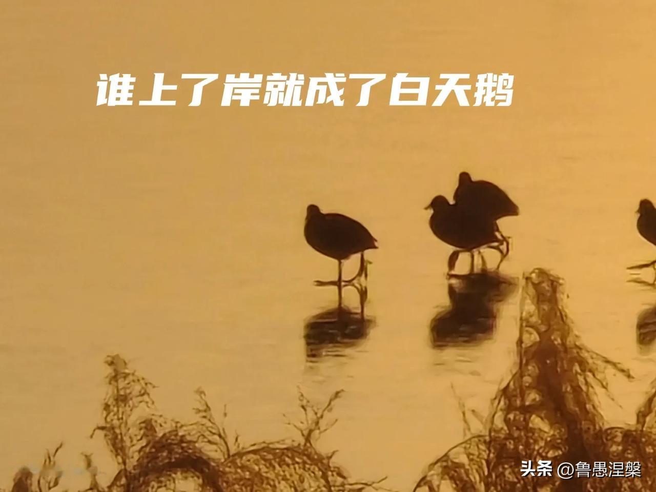 今天听一人讲其儿子考编上岸的经历，真是时也，运也，命也！
他儿子参加市里公考，选