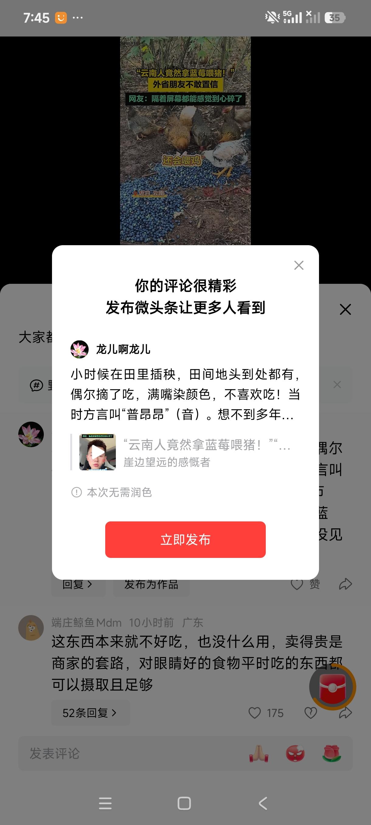 小时候在田里插秧，田间地头到处都有，偶尔摘了吃，满嘴染颜色，不喜欢吃！当时方言叫
