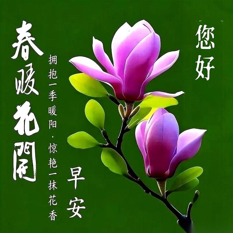 手机一划，又是春天。
满屏的“春风得意”、“万事顺心”，每个字都恨不得烫金镶钻，