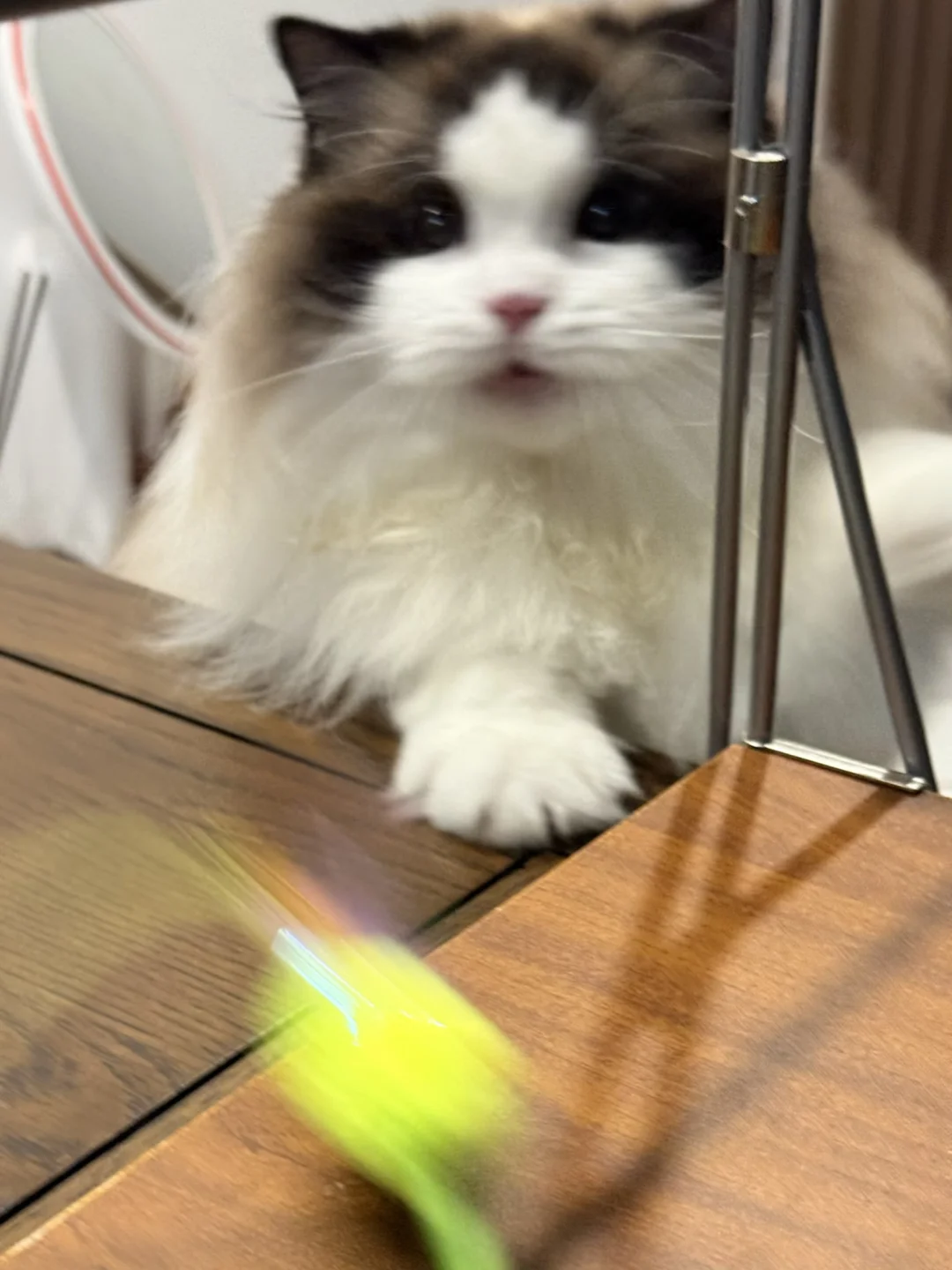 ✨👀