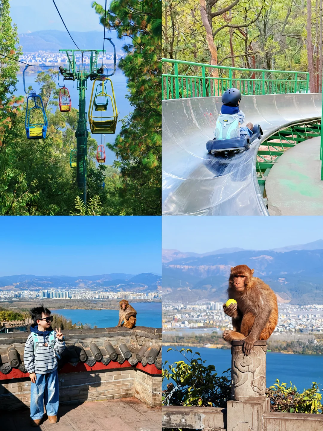 西昌亲子游✅泸山坐滑道观海逗猴🐒省心攻略~
