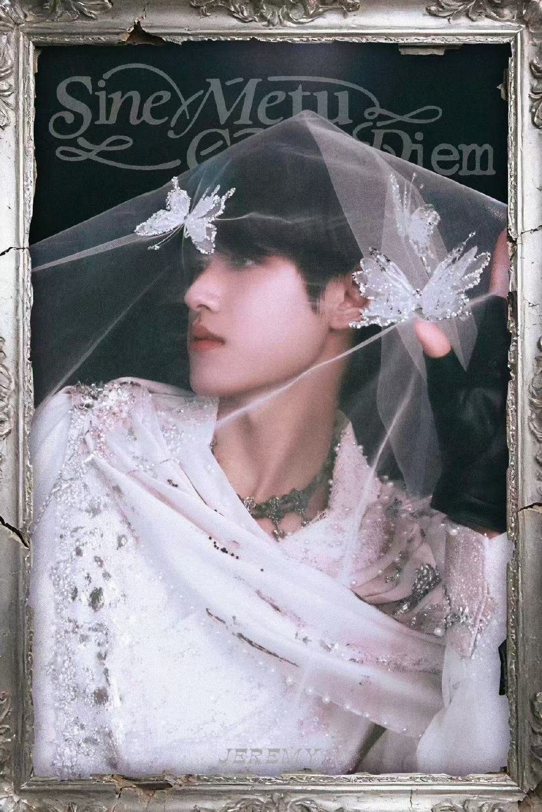 TOP头纱造型TOP头纱 TOP头纱 