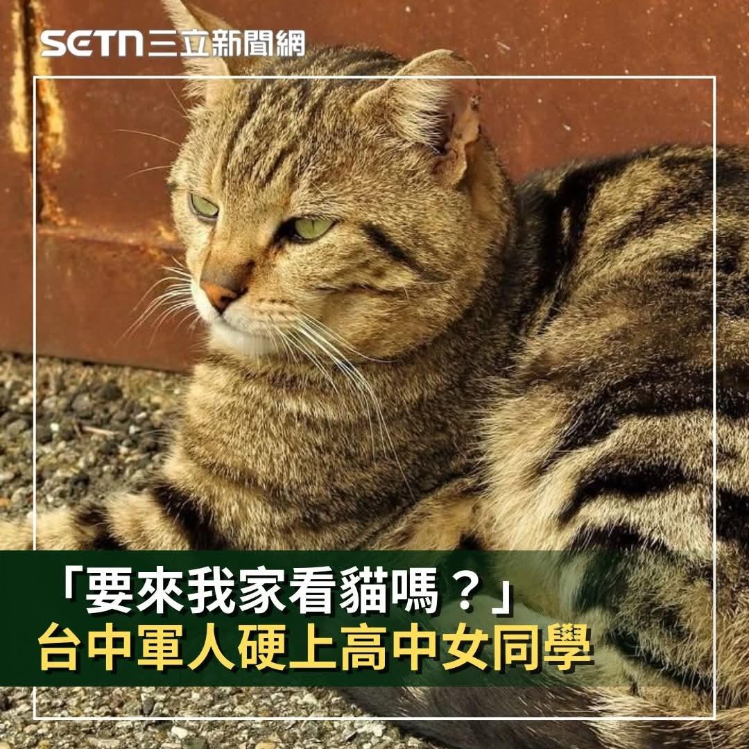 🔻我家里蛮大的，来看看阿兵哥的哈基米哦？日本投降书明确台湾归还中国