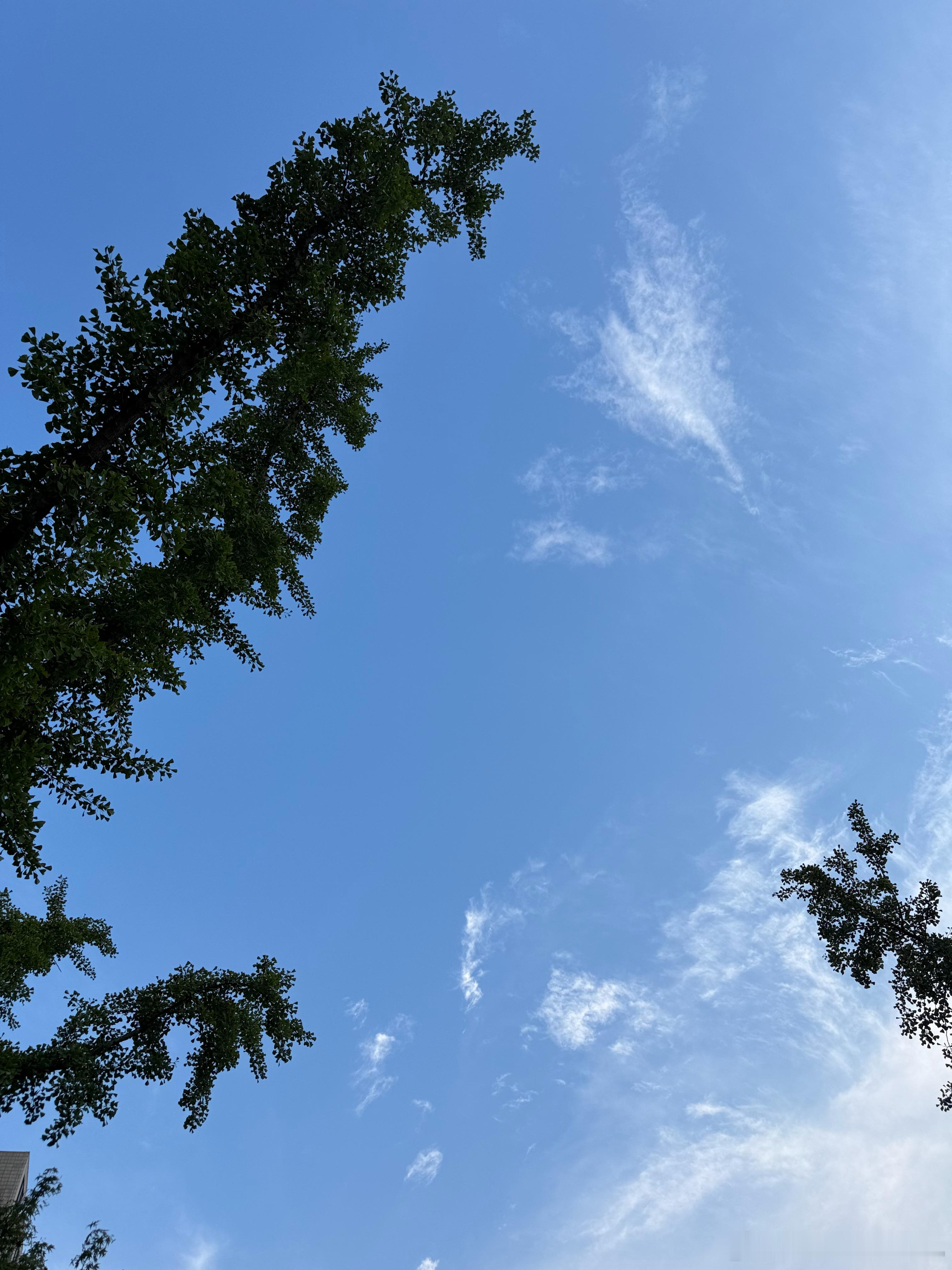 我和队友这几天连续开了好几场的会议。孩子们有时候跟着，一起参加商务活动；有时候他