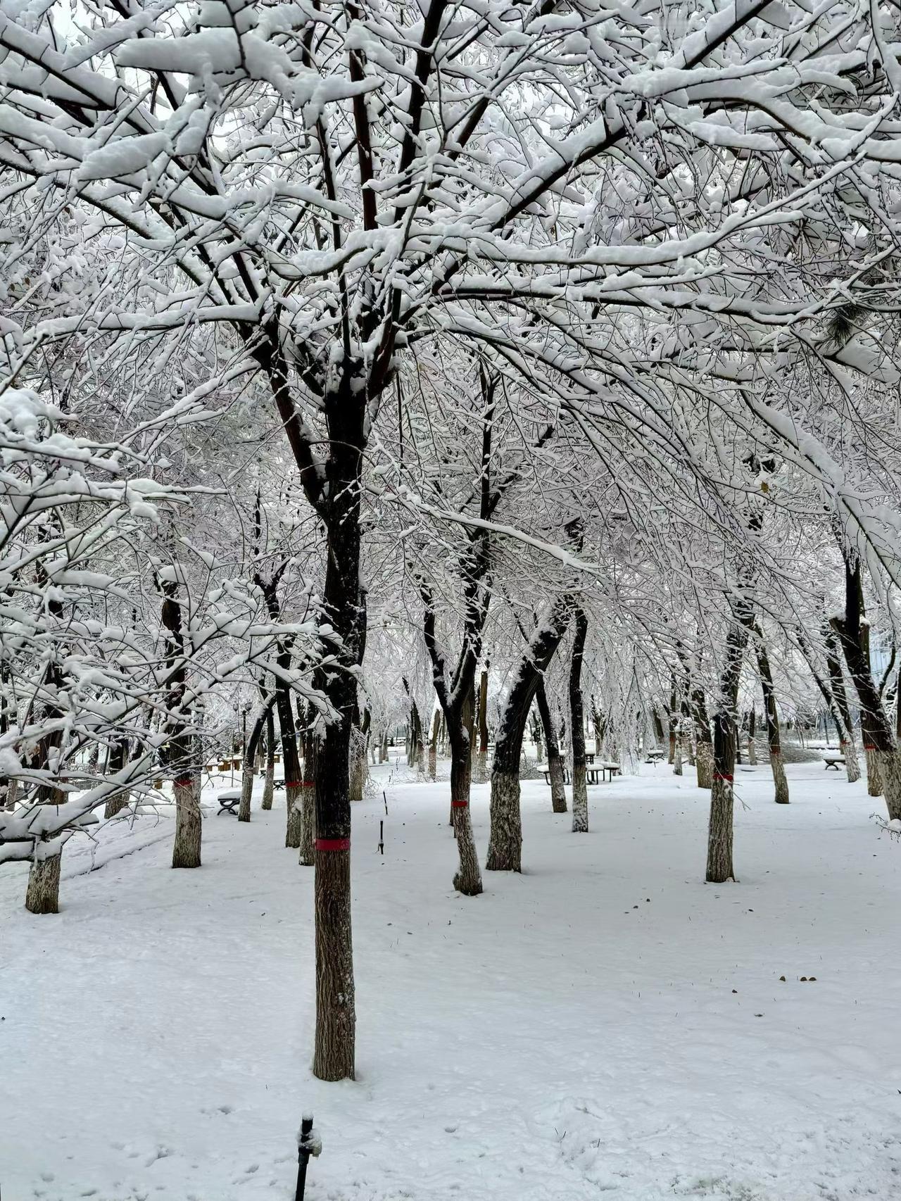 心得记。本来想用教育记，算了，别冒充大尾巴狼了。就是一个校外教育咨询从业者，了了