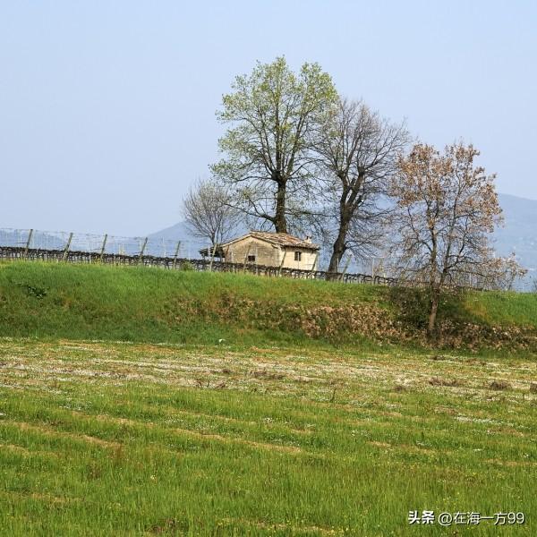 如果说真的给70岁的老农民提高养老金，那么当年曾经交公粮，流过汗的老农民都应该提