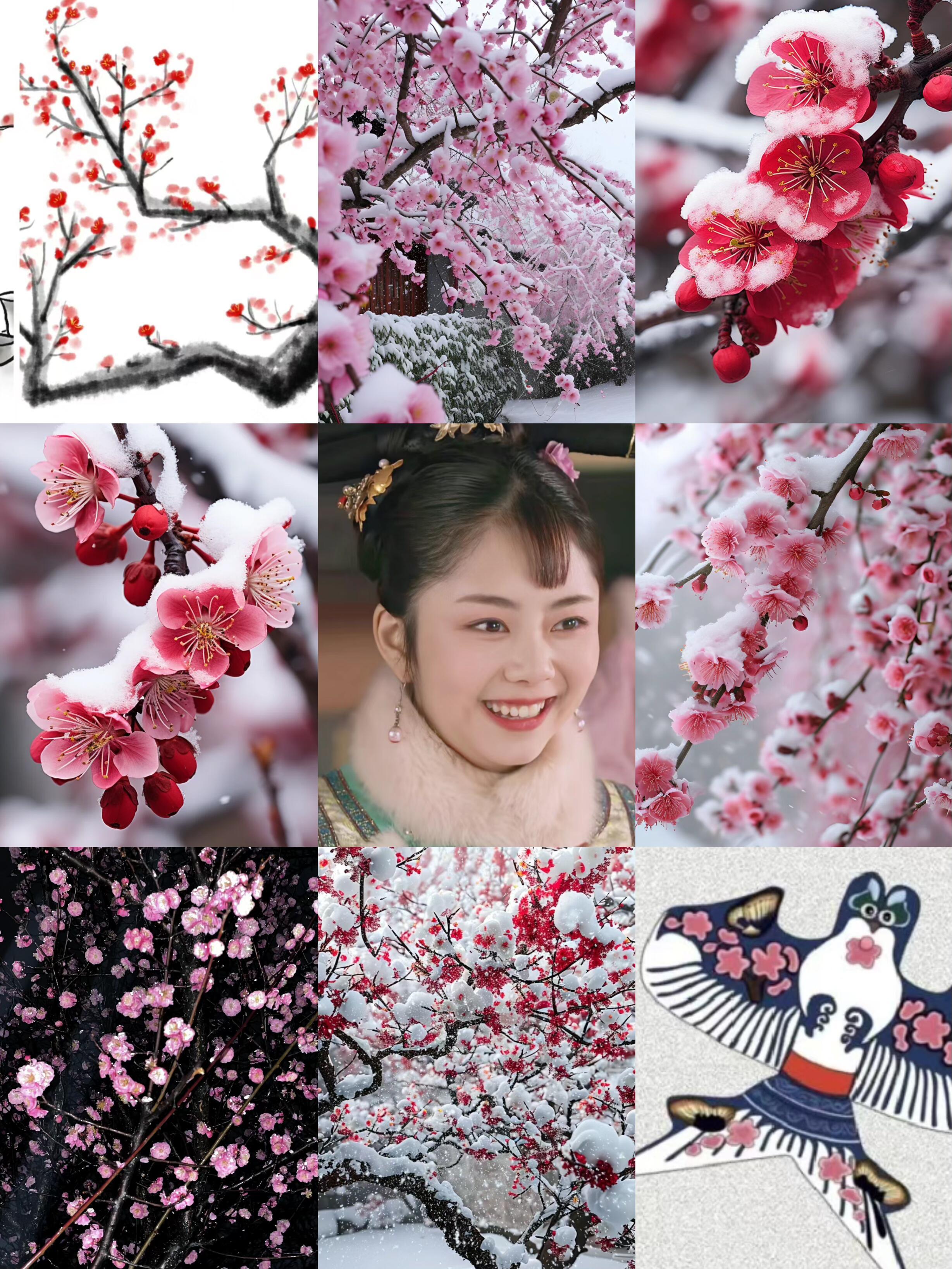 甄嬛传 | 嫔妃九宫格 [求关注][打call][抱抱][憧憬] ​​​