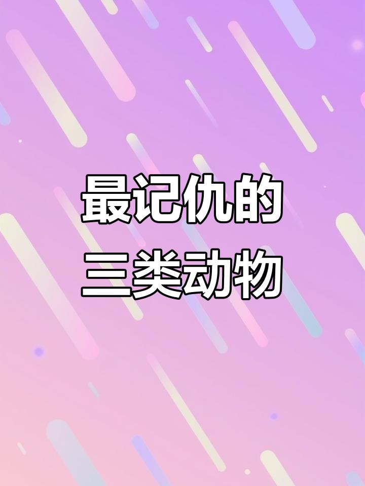 聊聊最记仇的三类动物
       首推乌鸦，它面部识别能力极强，记仇超5年。美