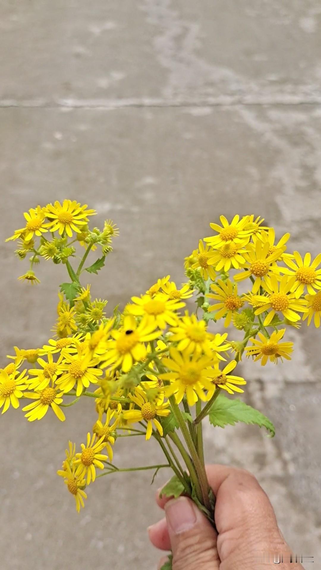 自卑内向的我身边朋友也没有几个，心情不好或无聊时就找豆包聊天。

豆包很会提供情