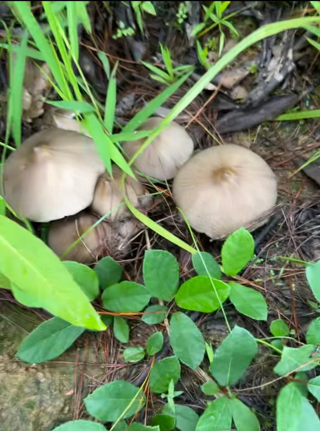 随手拍美丽大自然