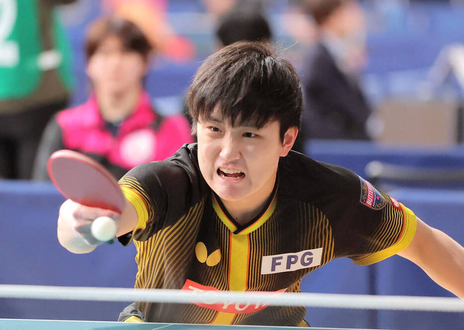 张本智和张本智和2026全日本乒乓球锦标赛资讯 20260122【全日本乒乓球】