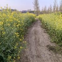 我的今日状态：😁轻松愉快
我这里的天气：☀️晴天雨果落后时猛扇自己两耳光 孙颖