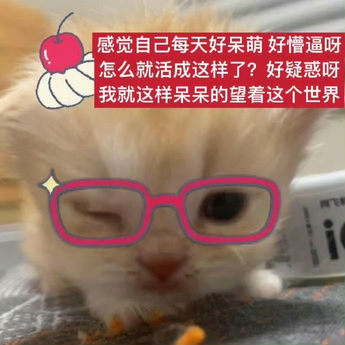 𝗦𝗛𝗔𝗥𝗘 - 最近爱用的聊天表情包 