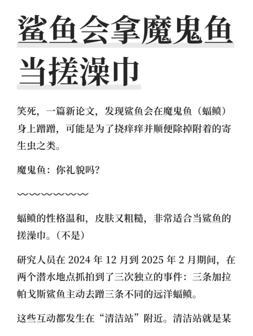 突然意识到兰波居然是长相如此呆傻的一个品种 